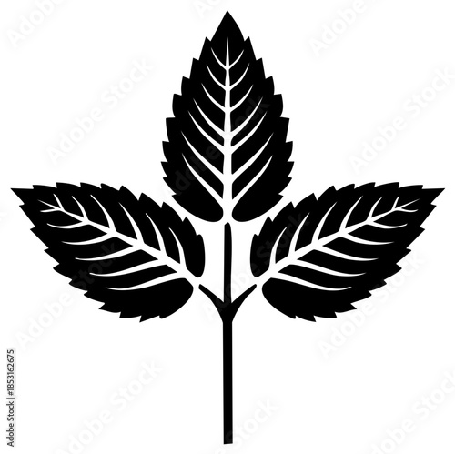 Simple mint sprig icon with three serrated leaves, black and white vector graphic