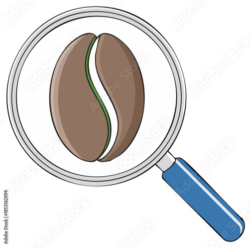 Coffee Bean Examined Closely Under Magnifying Glass Illustration