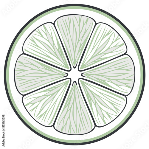 A Half Slice of Citrus: Lime Vector Illustration with Segments, Outline, and Pale Green Tones on White Background