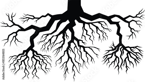 Tree Root System Silhouette Vector Illustration