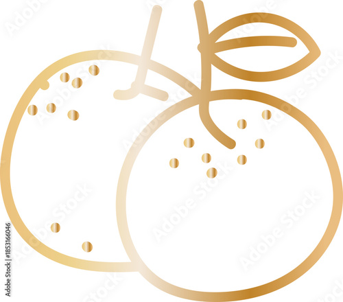 Mandarin Orange Pair Hand Drawn Line Illustration