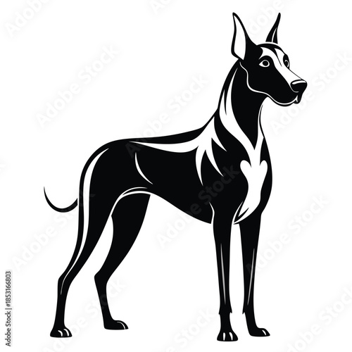 great dane line art silhouette vector illustration