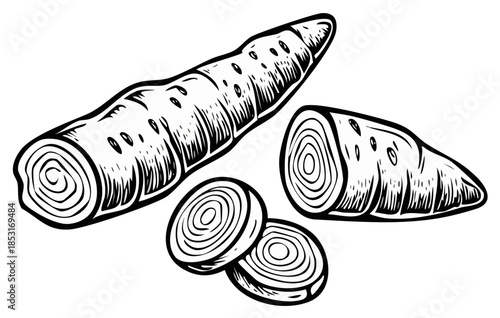 Engraving Style Whole and Sliced Cassava Yuca Root Illustration