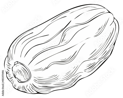 Single Date Fruit Illustration Black and White Line Art Style Healthy Eating