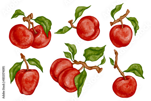 Collection of juicy red apples with green leaves. Vector graphics.