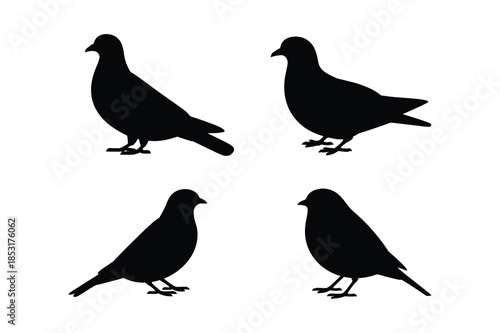 Collection of bird silhouettes including pigeons and sparrows