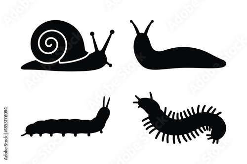 Silhouettes of crawling creatures including snail slug and caterpillar
