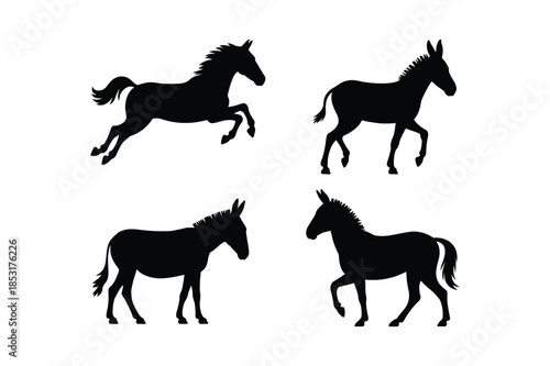 Silhouettes of horses and donkeys in various poses