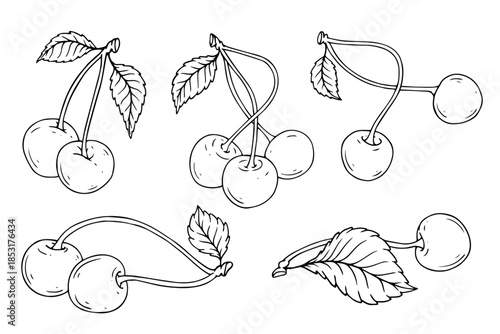 Collection of summer cherry berry outlines, simple fruit sketches. Vector graphics.