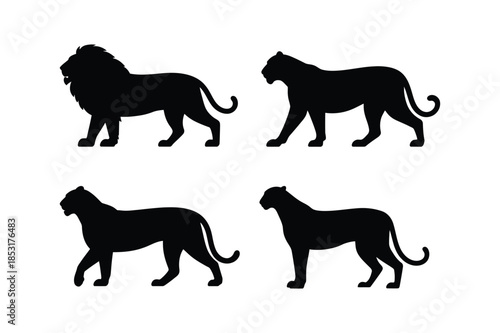 Big Cats Predator Silhouettes Set Lion Tiger and Leopard