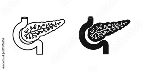 Illustrated digestive system