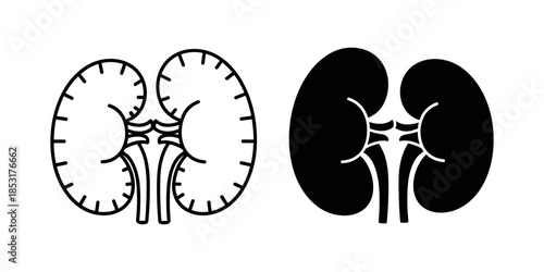 Diagram of human kidneys