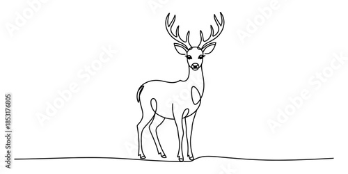 A majestic stag stands tall with its antlers reaching towards the sky in a minimalist drawing Vector, illustration