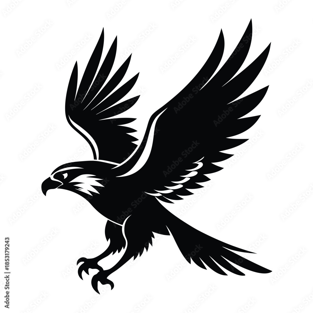 Fototapeta premium flying hawk bird line art silhouette vector illustration
