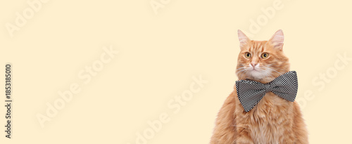 Cute ginger cat wearing a bow tie, sitting isolated on a soft light yellow background with copy space. Stylish pet portrait for advertising, branding, greetings and modern design.