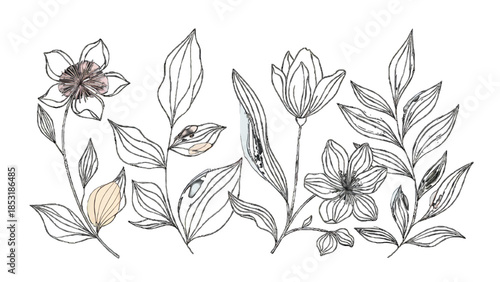 Elegant hand-drawn botanical elements with delicate floral and leaf illustrations on a white background.