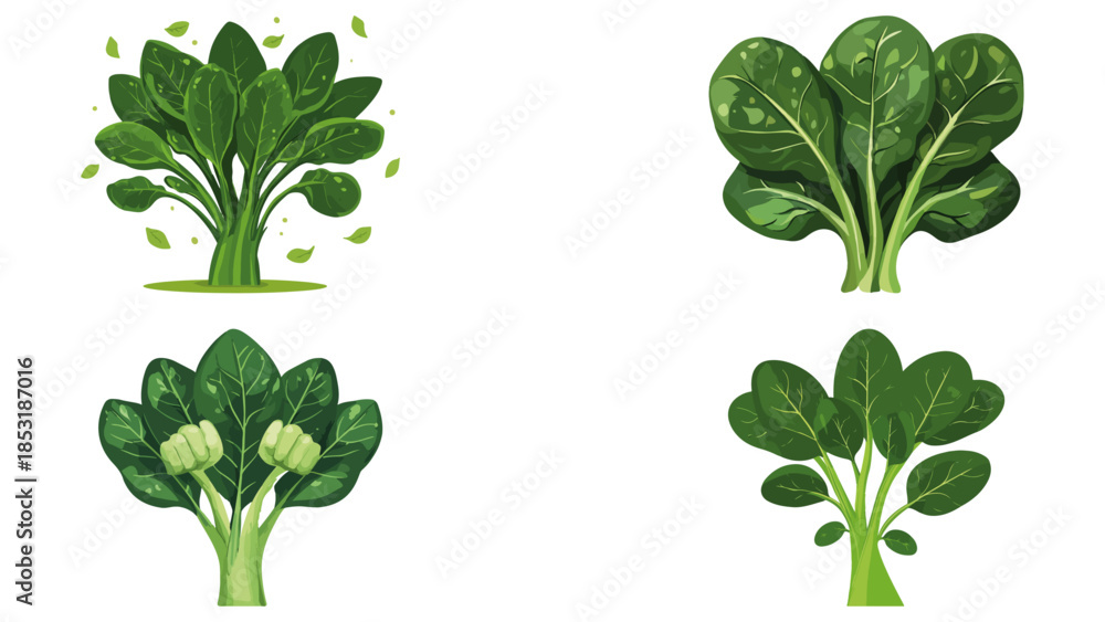 Fototapeta premium World Vegetarian Day Spinach leaves flexing muscles flat vector with white background in graphics design vector style