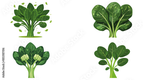 World Vegetarian Day Spinach leaves flexing muscles flat vector with white background in graphics design vector style