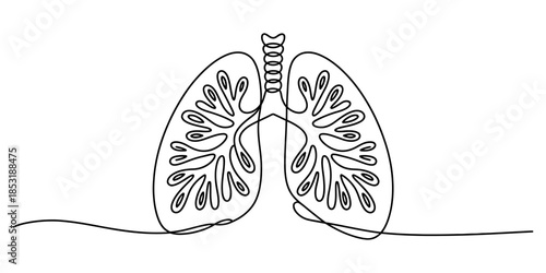 Minimalist continuous line drawing of human lungs Vector, illustration