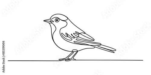 Continuous line drawing of a small bird standing on a horizontal line Vector, illustration