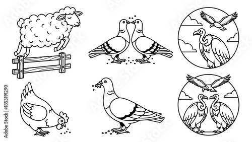Collection of line art illustrations featuring various birds and a sheep