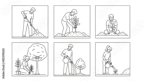 Visual guide to tree planting process sequential illustrations showing digging, planting, and watering saplings for gardening and environmental care