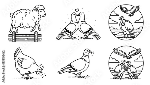 Diverse collection of minimalist outline animal illustrations, featuring various birds such as doves, eagles, chickens, and pigeons, alongside a sheep, depicted in a clean, modern vector line 