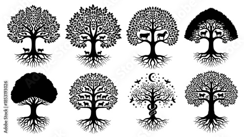 A collection of eight trees with varying foliage and root systems illustrated in a simple black and white style