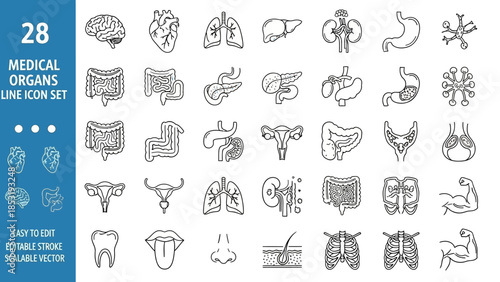 Illustration of various medical organs icons in a grid layout on a white background with blue sidebar