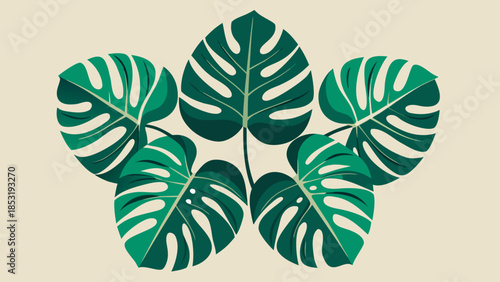 Vibrant green Monstera leaves arranged in an elegant decorative circular pattern, creating a lush botanical design on a neutral background, evoking tropical and natural aesthetics