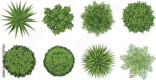 Top view garden plants bushes collection with tropical shrubs foliage elements for landscaping park design vector illustration isolated set editable