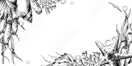 Underwater line art doodle horizontal template frame featuring seashell, starfish, coral, and seaweed. Hand drawn marine life border for design element or greeting card. Outline graphic illustration