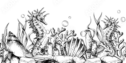 Two seahorse and seashell line art. Hand drawn marine animal and underwater world illustration. Background for aquatic theme. Seamless border pattern outline graphic illustration