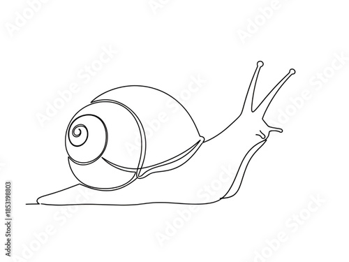 Snail Line Art Illustration Isolated on White Background