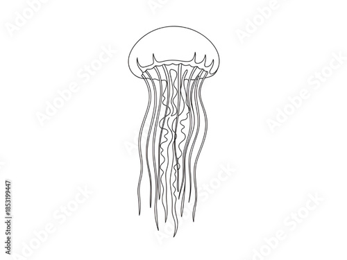Jellyfish Illustration Isolated on White Background