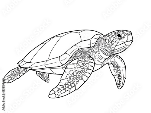 Sea Turtle Swimming in Ocean, Black and White Line Art Illustration