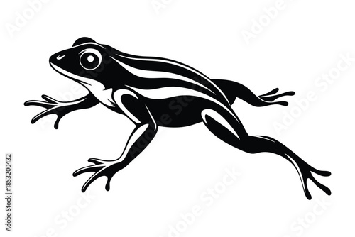 jumping frog line art silhouette vector illustration