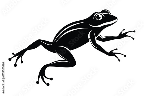 jumping frog line art silhouette vector illustration