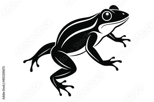 jumping frog line art silhouette vector illustration