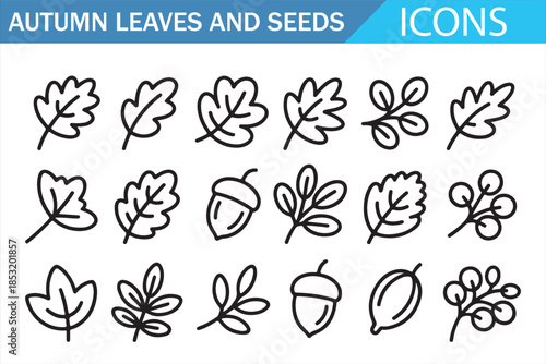 Autumn Harvest Leaves and Seeds Line Icons