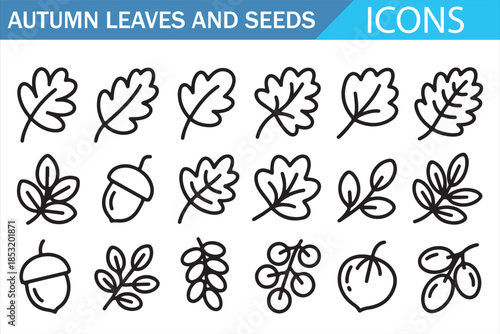Nature Autumn Foliage Outline Symbols Icon Set