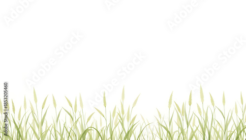 Soft watercolor grass illustration on white background, calming nature