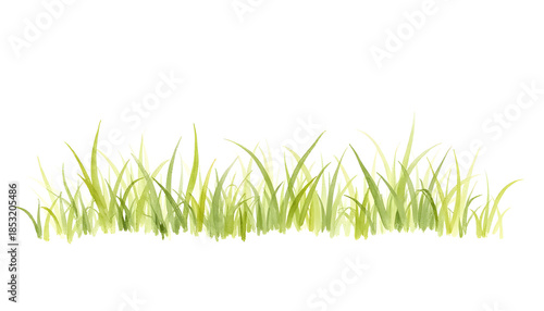 Pastel watercolor grass in soft strokes, spring freshness