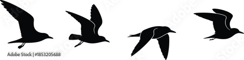 Bird flight silhouette, black flying birds, wing motion illustration, nature vector design, avian movement pattern, wildlife pose, dynamic sky composition