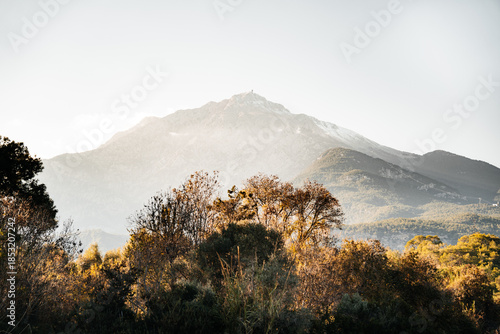 mountains in the fog