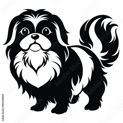 japanese chin line art silhouette vector illustration