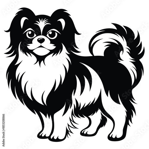 japanese chin line art silhouette vector illustration
