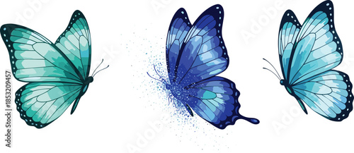 Butterfly illustration, vibrant wing design, teal and blue butterflies, transformation effect, flying insect art, nature concept, dynamic motion, colorful vector