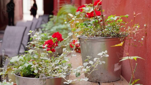 Red geraniums and green plants blooming in rustic metal buckets, decorating an outdoor restaurant terrace with blurred people walking in the background of a charming european city street