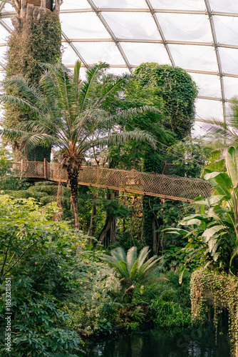 Leipzig, Germany - Dec 2 2025 Leipzig Zoo Tropical Rainforest inside Gondwanaland greenhouse